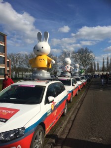 MIffy seems to be everywhere.. Including at the cycling.