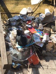 Hard to see, but it's a swamp hen, nesting on a carefully collected bundle of rubbish.