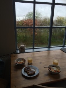 View from the cottage most mornings. Wet. 