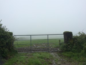 Or foggy as. Mind you, this was 2pm.