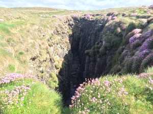 Cool ravine with mossy trampoline-like grass everywhere. 
