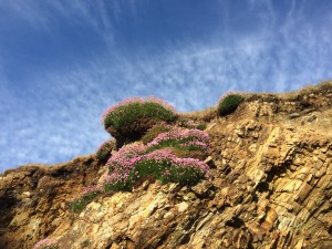 Love the cliffs and skies here.