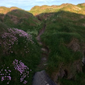 Love the goat paths. 