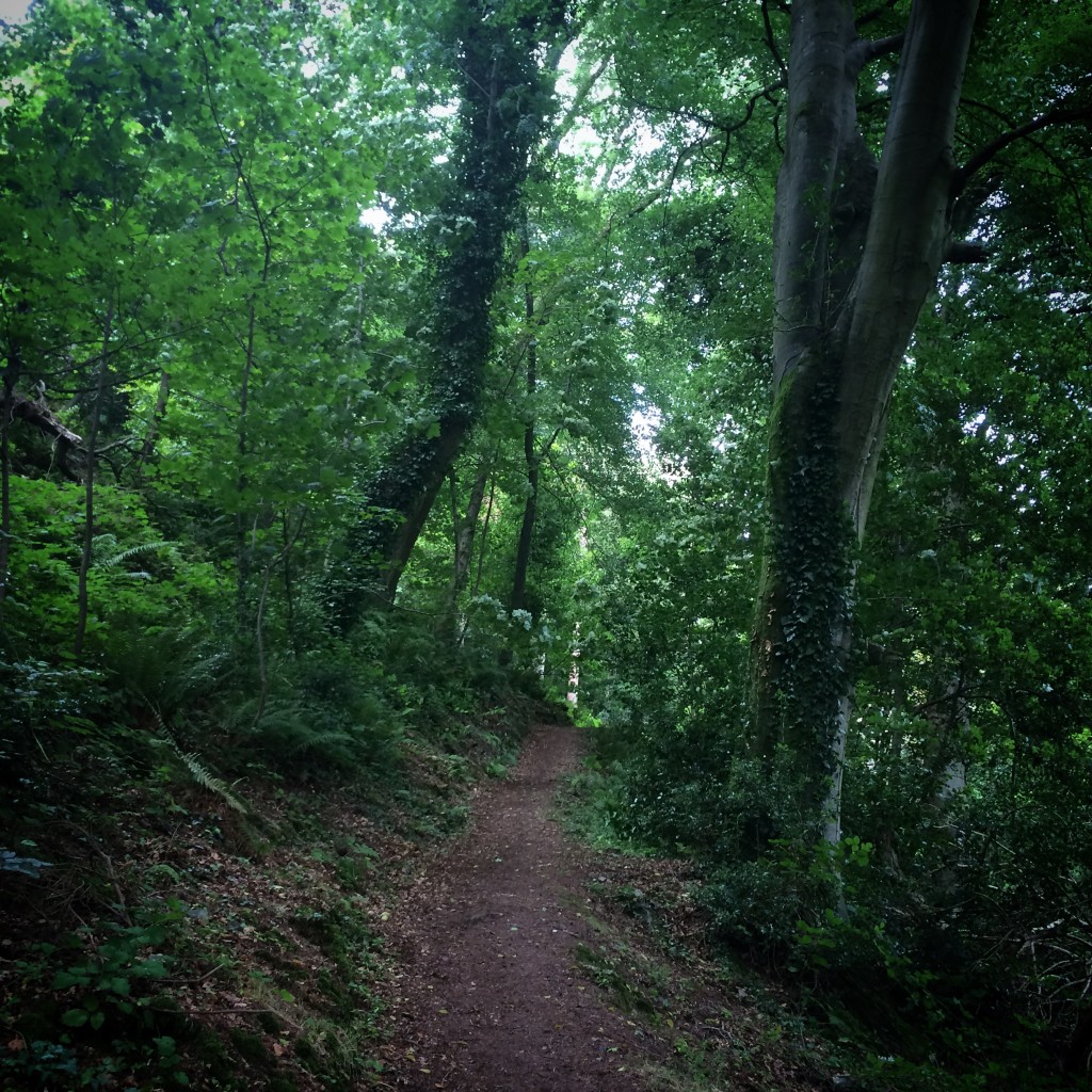 Seaworthy Village. Thought it might be nice to go for a walk.