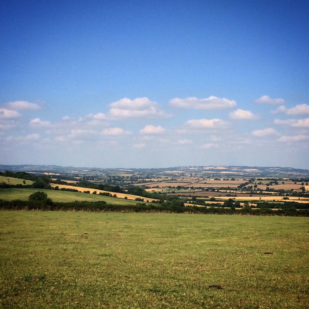 Pretty fields. Situation normal.