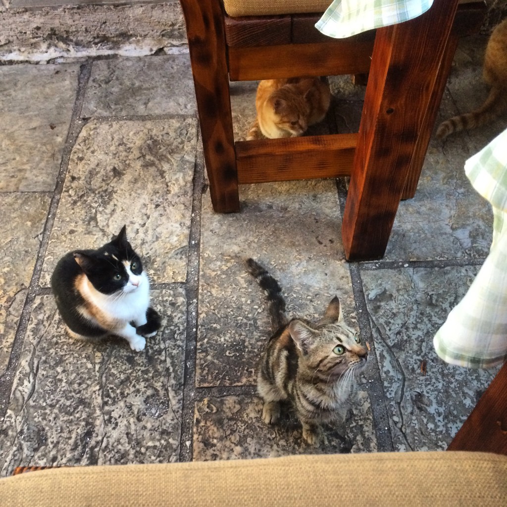 Yes, we see you. No need to jump on me, thanks.