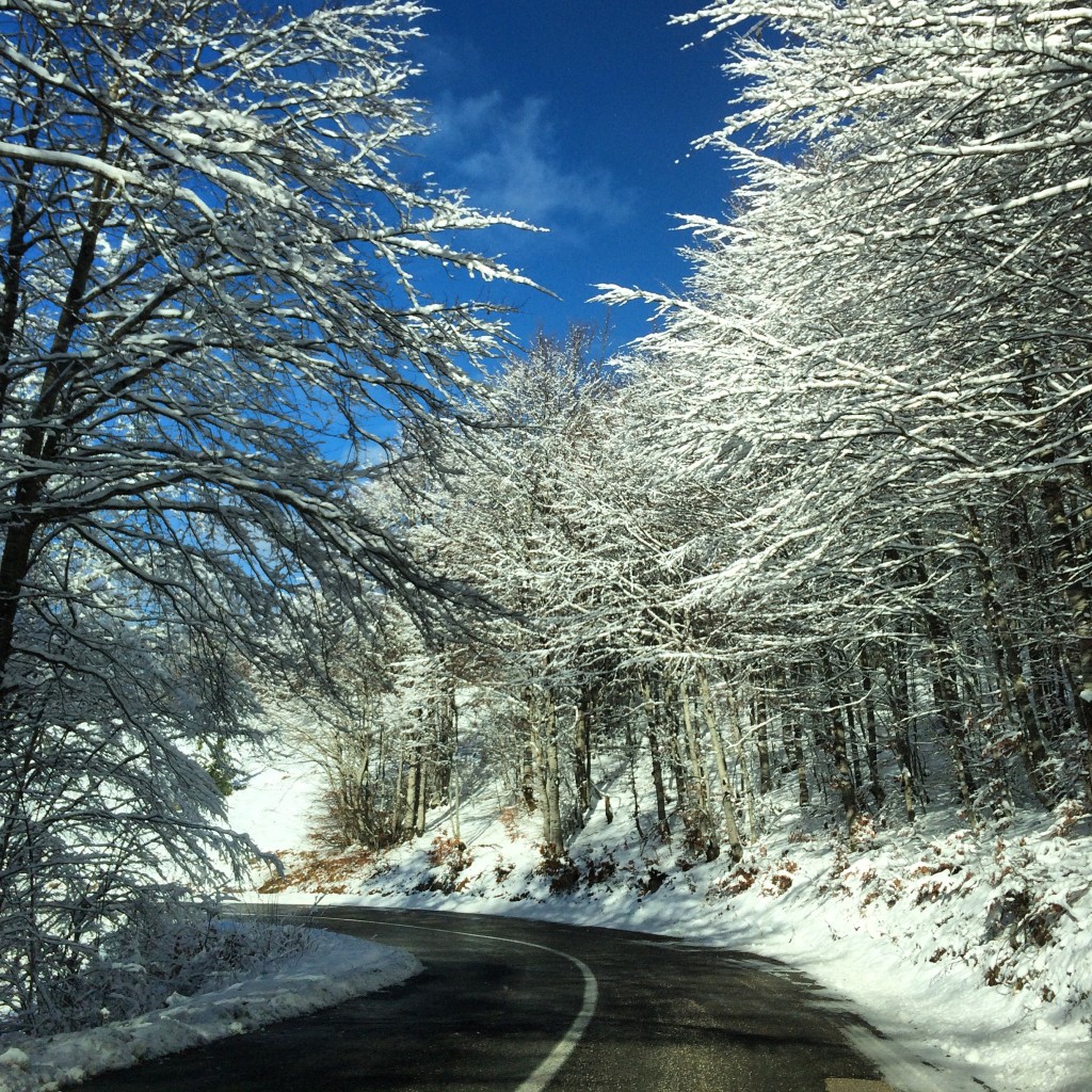 Out at Durmitor. Snowy winter wonderland.