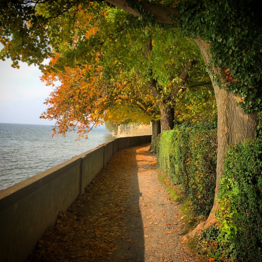 Autumn is in full swing