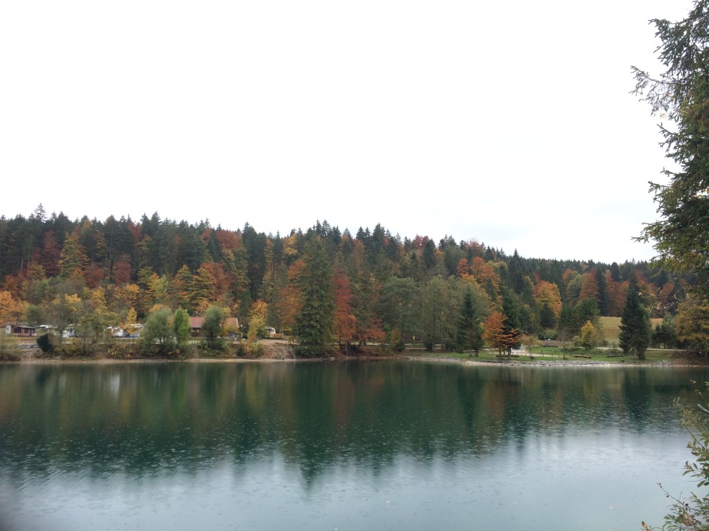 Autumn in full swing