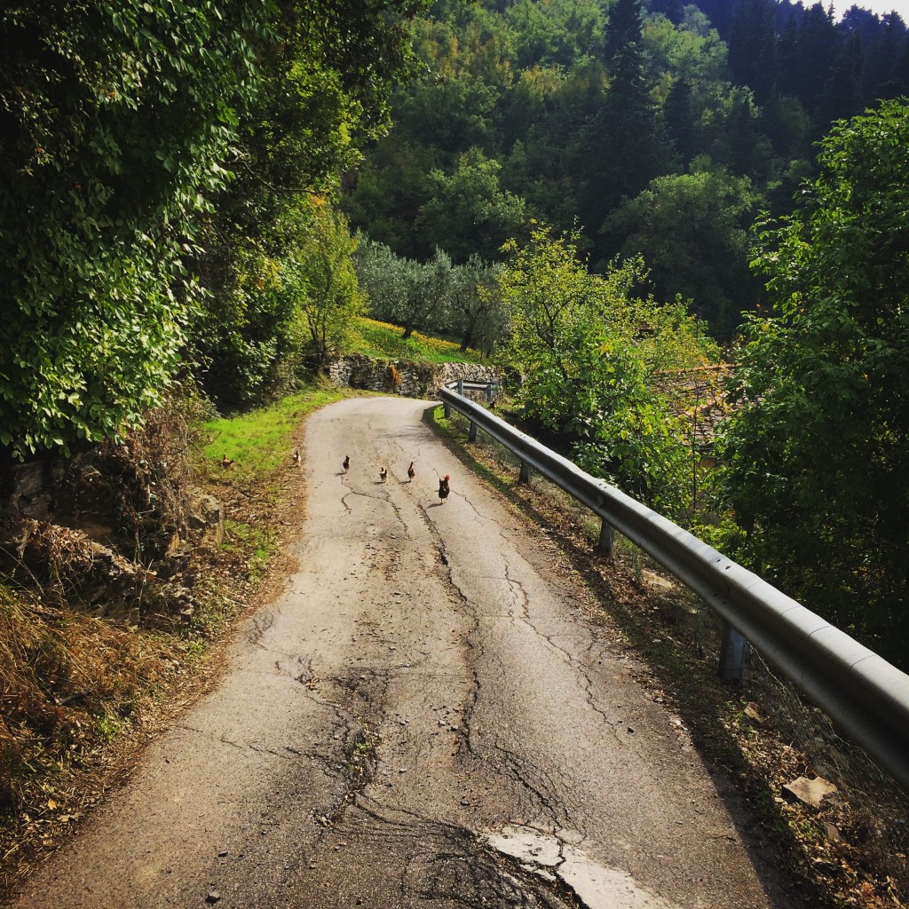 The roads around Filletole leave a bit to be desired. This road comes with mini-chickens!