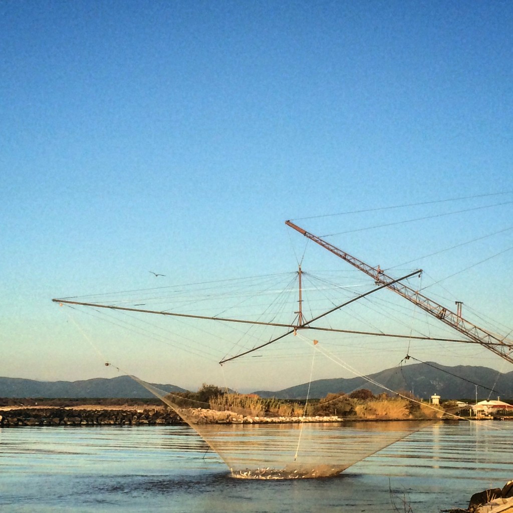 Fishing, Italian-style.