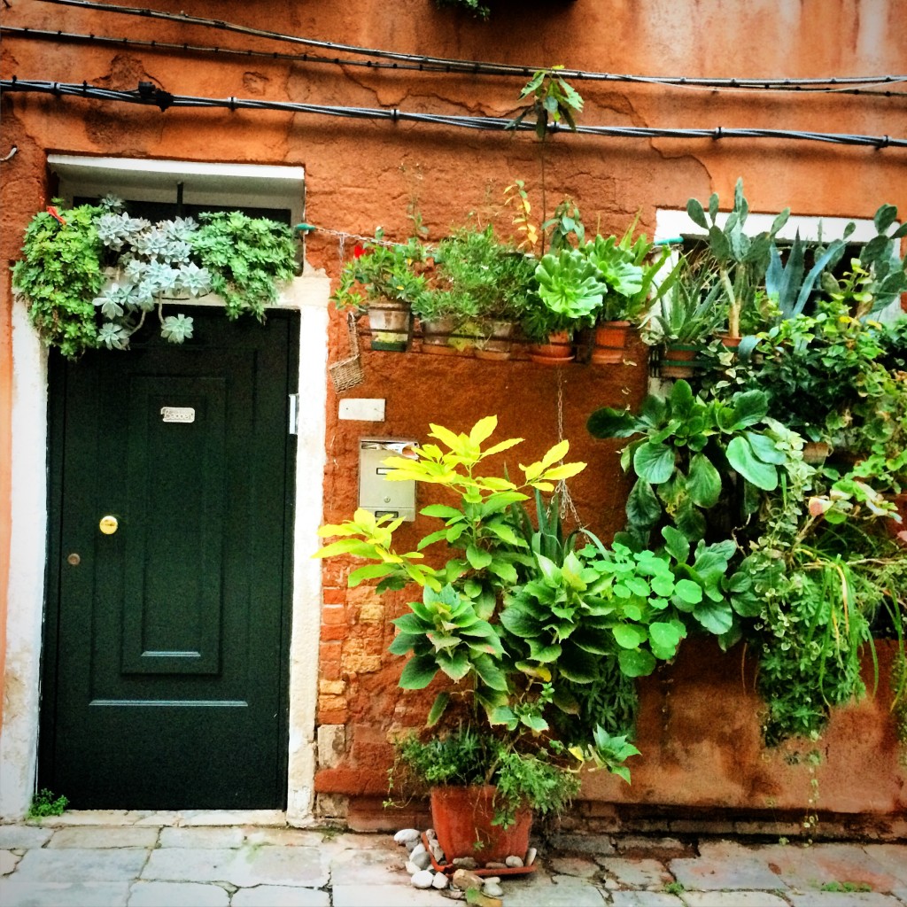 Often the entrances to Italian homes are beautiful and carefully manicured.