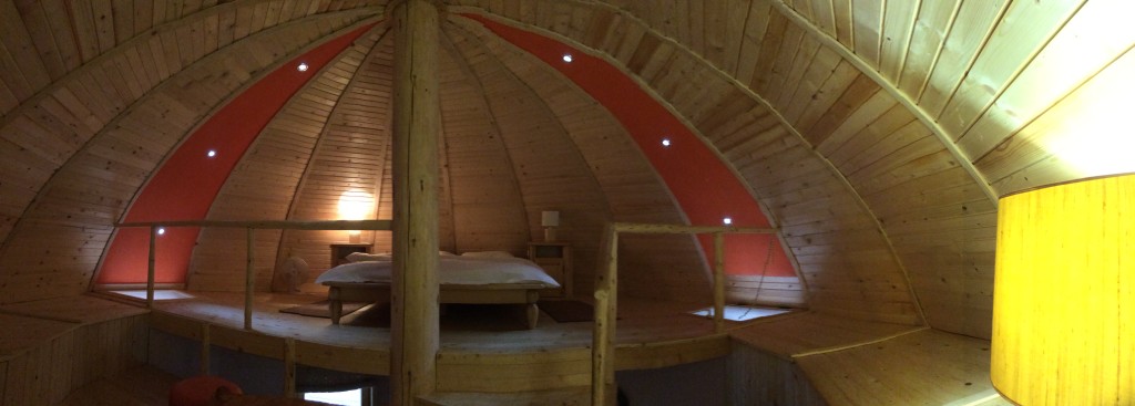 Inside of the mushroom