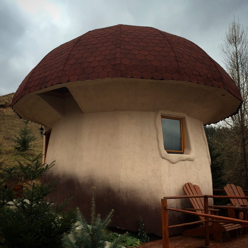 Mushroom Cottage!!