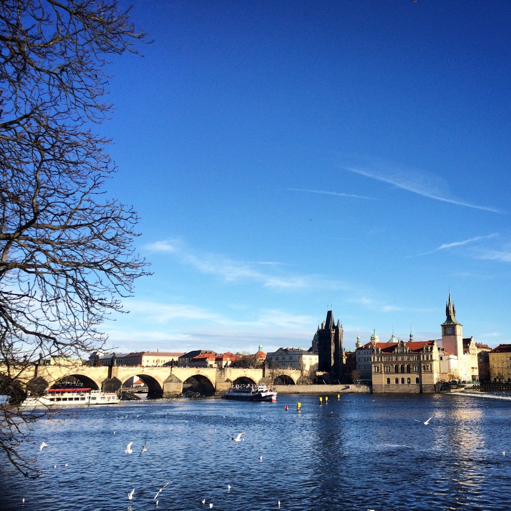 Plenty of beautiful views of the river.