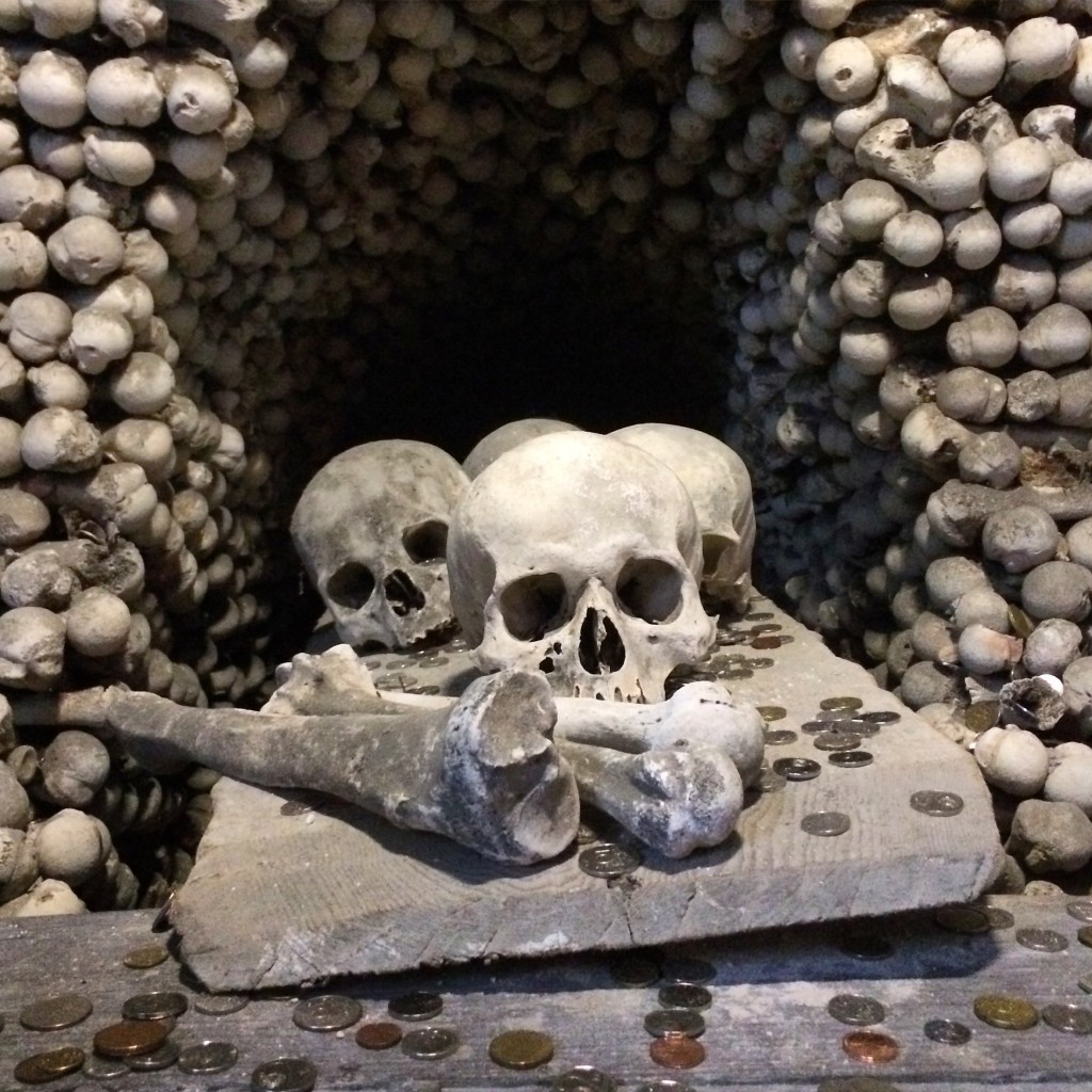 Bones, neatly stacked, ordered by size and type...and then built into...stuff.