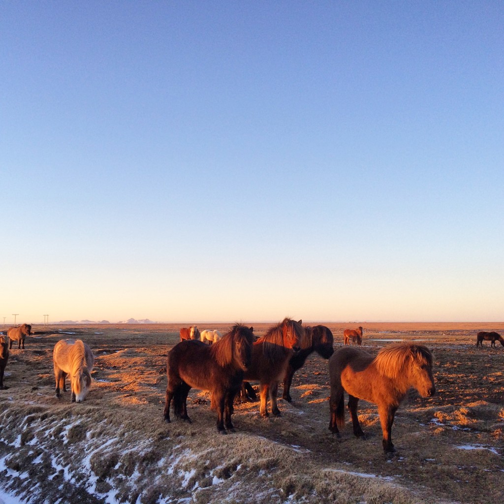 Hi guys! We didn't bring you any food...