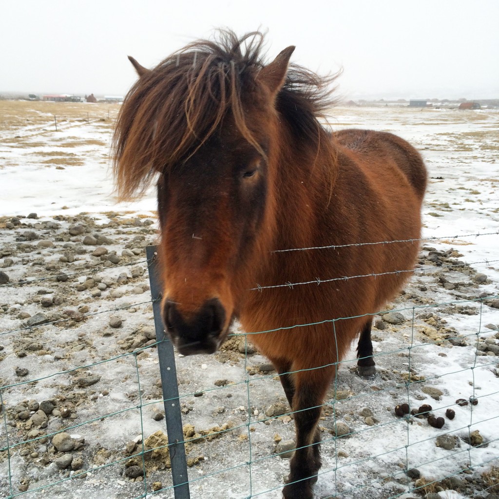 Friendly little guy.