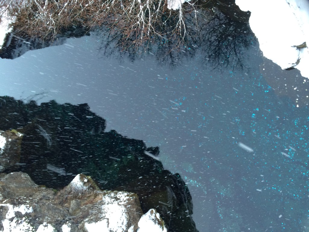 Can you see the money?