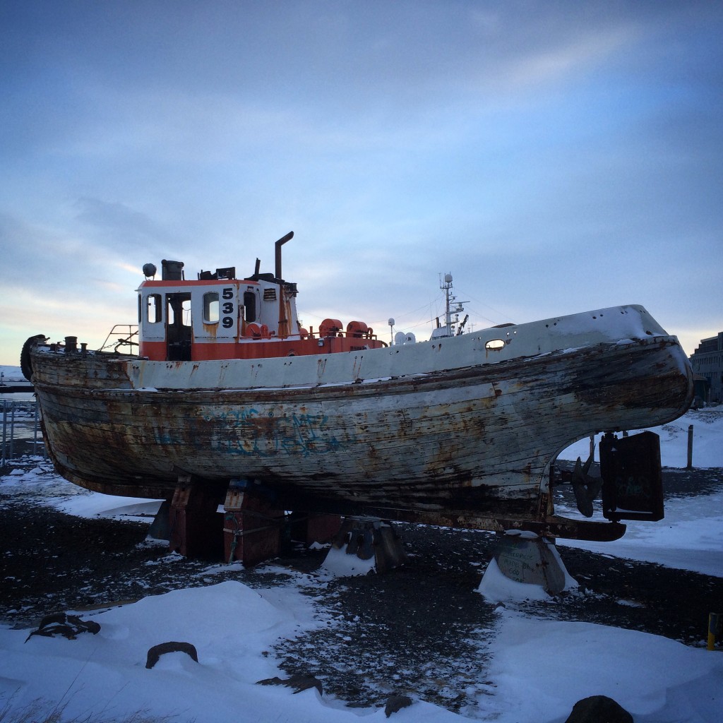 Down at the harbour, not everyone is in the water.
