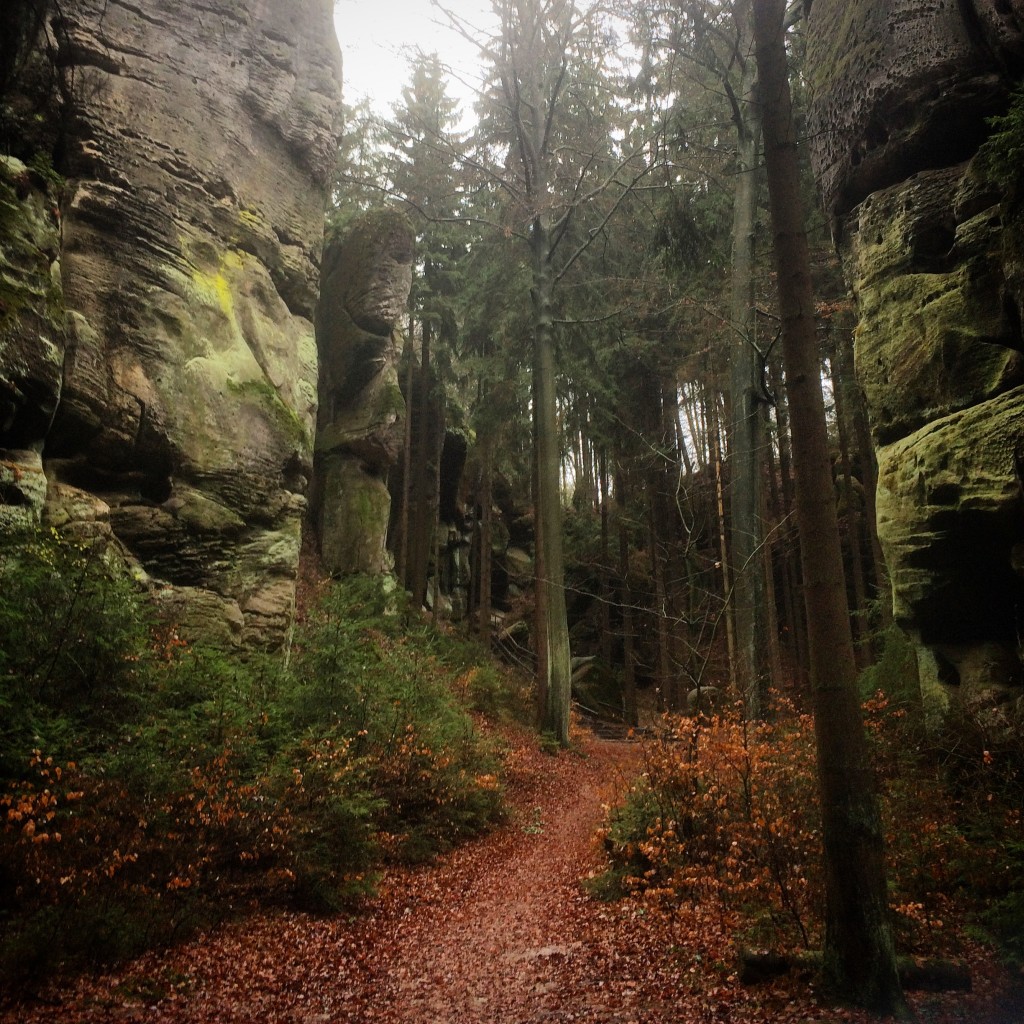 Walking the stone forests of the Bohemian Paradise.